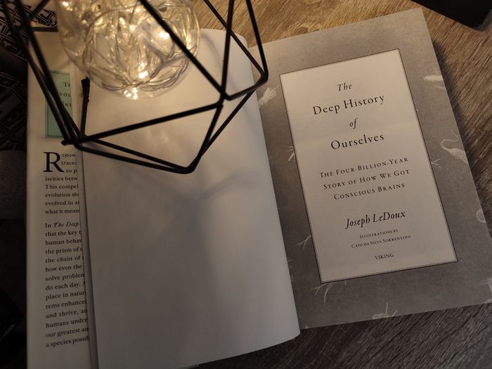 The Deep History of Ourselves: The Four-Billion-Year Story of How We Got Conscious Brains ! Hardcover ! 2019 ! by Viking !