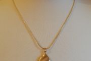 DesignSix Grammy Necklace Gold Colour Snake Chain with Oval Pendant New With Tags