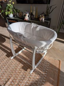 Moses basket
