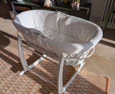 Moses basket