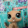 Littlest Pet Shop Bonnie Von Beaver 1-135 LPS Please see pictures Image 2