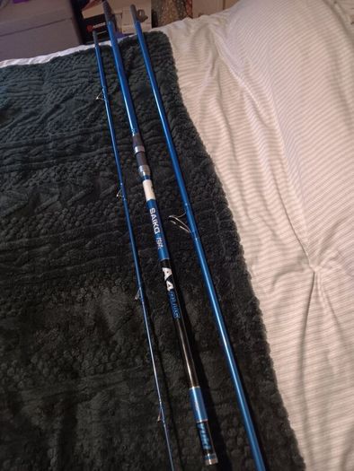 Beach rod and reel