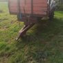 trailers Image 4