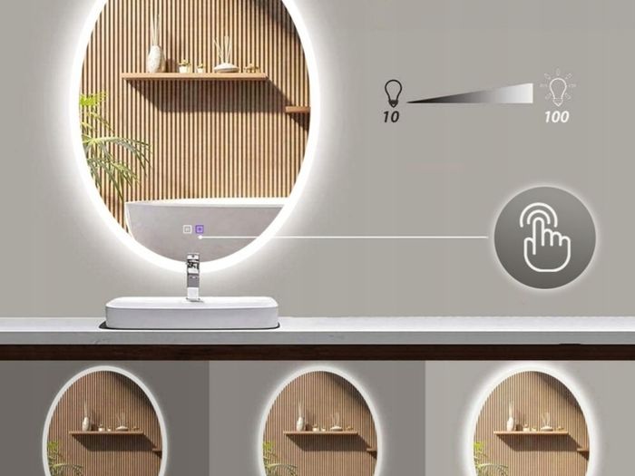 LED Bathroom Mirror 60x80cm Oval Dual LED Antifog Makeup Cosmetic Bright Light Touch Switch