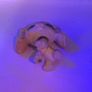 Littlest pet shop Image 3