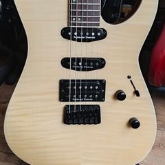 Esp Ltd M-403
