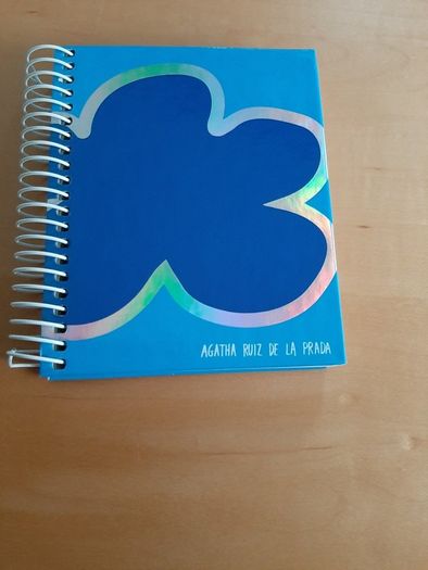 Mini spiral notebook