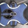 Dog Harness and clip on seat belt Image 2