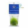 LEAFOLAB AQUARIUM PLANTS - free from snails, algae, and pathogens. Image 2