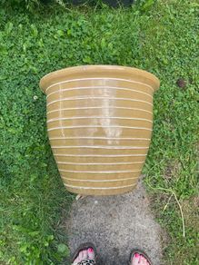 ceramic pot
