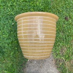 ceramic pot