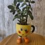 plant with plant holder Image 3