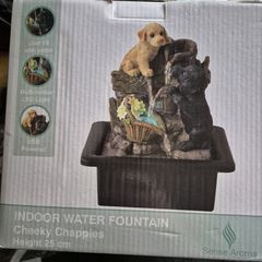 Indoor Water Fountain