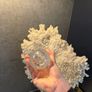 long crystal glasses in a box of 6 Image 2