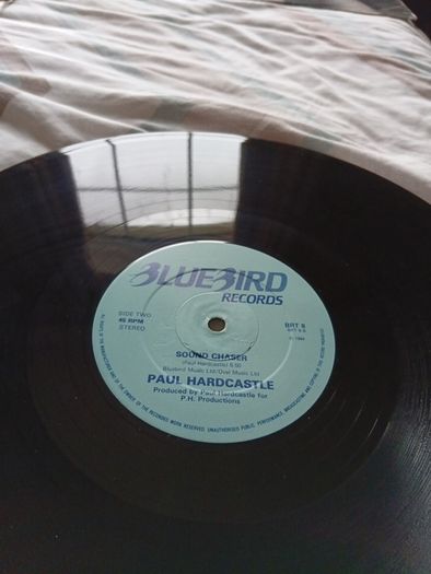 Rain Forest  12" Vinyl Single Paul Hardcastle