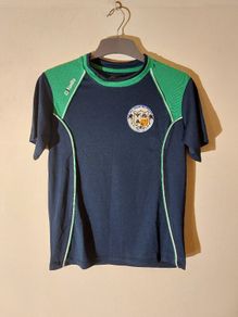 abu dhabi na fianna jersey