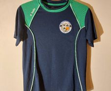 abu dhabi na fianna jersey