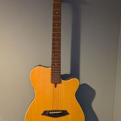 Sire G5A Natural