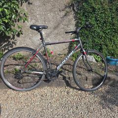 Hybrid bike