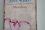 Alice Walker, Meridian
