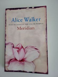 Alice Walker, Meridian