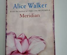 Alice Walker, Meridian