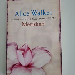 Alice Walker, Meridian