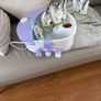 Sanitas Foot Bubble Spa Image 5