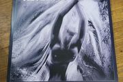 Revelino album