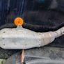 motorcycle parts Image 2