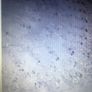 Cathedral Length Crystal and Lace Veil With Comb Image 2