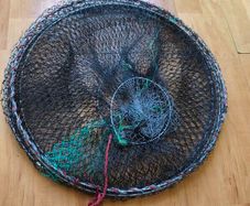 Crab trap