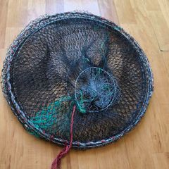 Crab trap