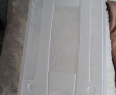 plastic shoe boxes with lids