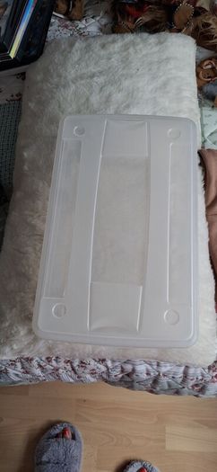 plastic shoe boxes with lids