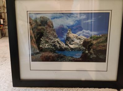 Framed Countryside print