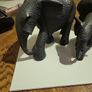 African Animals Image 2