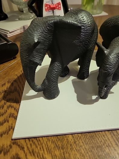 African Animals