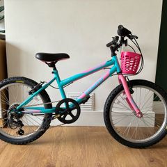 20 inch Verve Zenith GX20 Bike