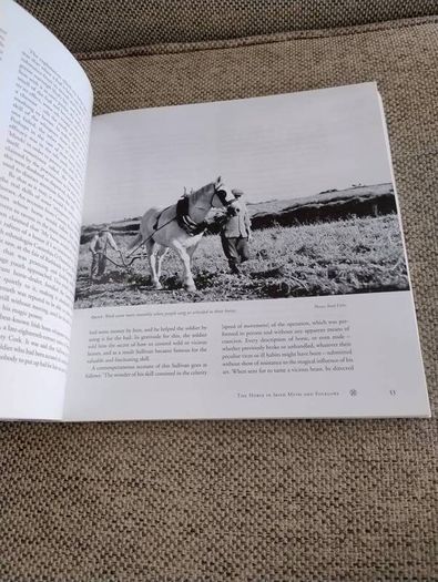 The Irish Draught Horse by Mary McGrath and Joan C Griffith 2005 in very good condition with some signs of wear on the cover see photos FREE STANDARD POSTAGE INCLUDED