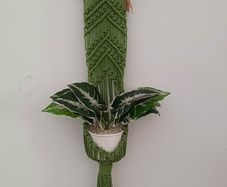 plant hanger