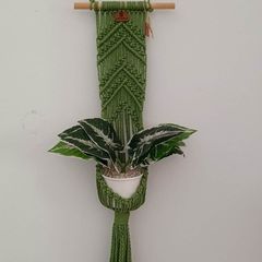 plant hanger