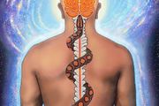 SERPENT RISING : The Kundalini Compendium | Neven Paaar