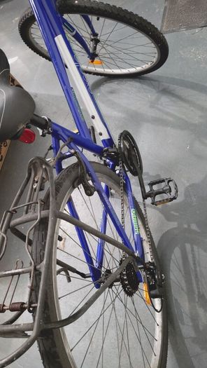 Apollo women's bike blue, 17 inches