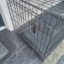 dog cage Image 3