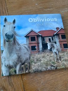 Mick Blake - Oblivious