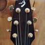 Breedlove Atlas series AD25/SM Image 5