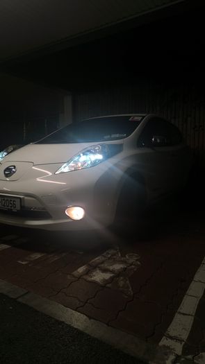 2014 Nissan Leaf