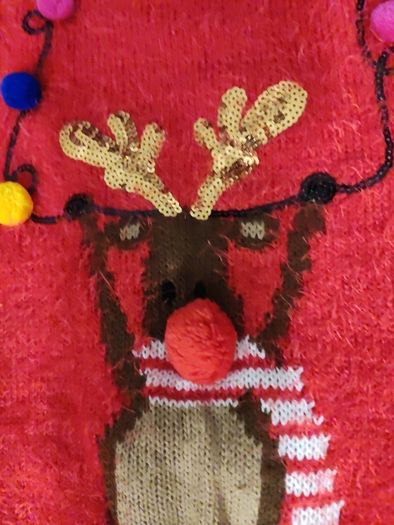 BNWT Christmas Jumper Age 10