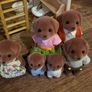 Sylvanian cottage and rainbow nursery bus with extras Image 9